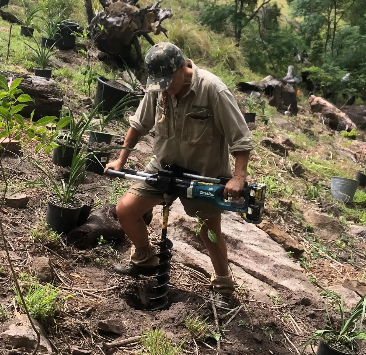Ecological restoration planting
